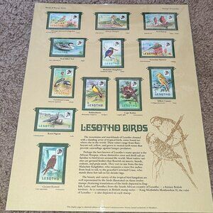 Mint Stamps Panel Birds Colorful Ephemera Academia Decor Art Prints Vintage MNH
